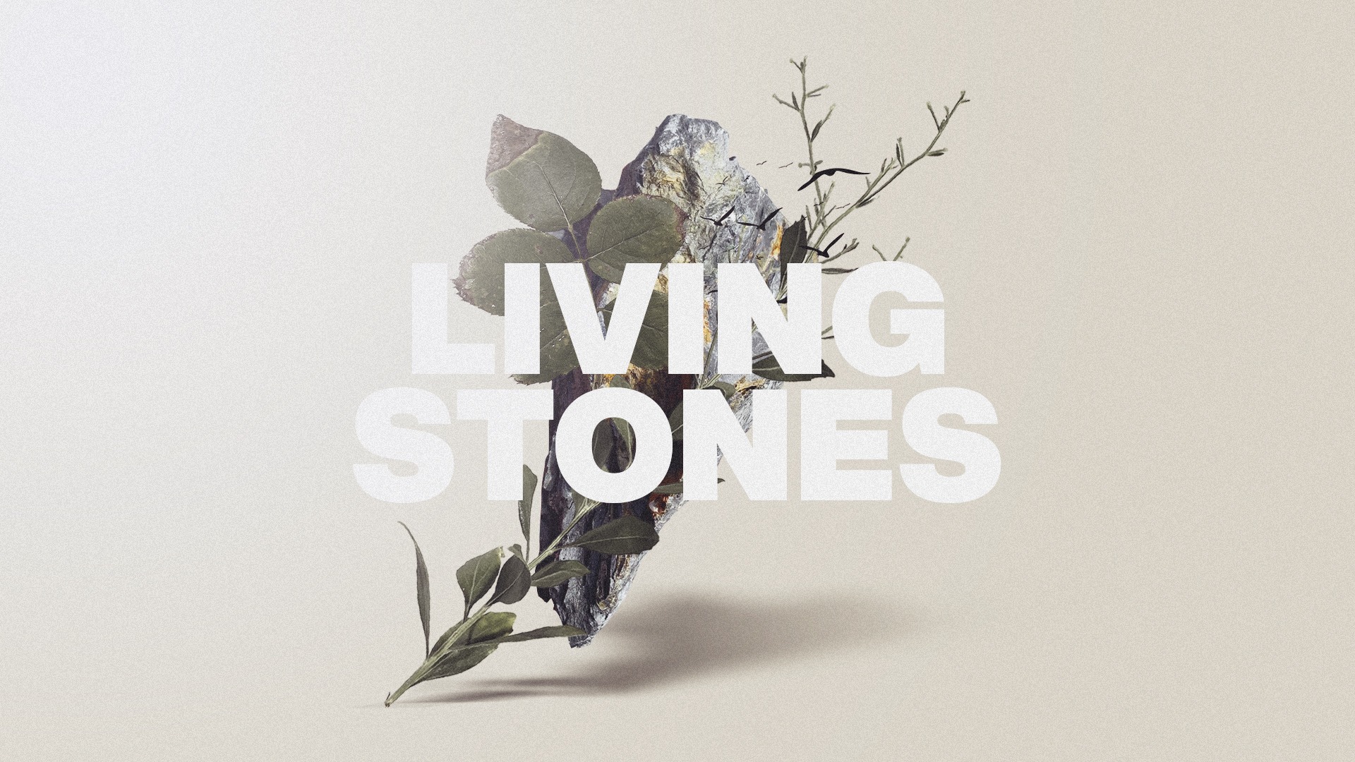 Living Stones Sermon Series Graphics