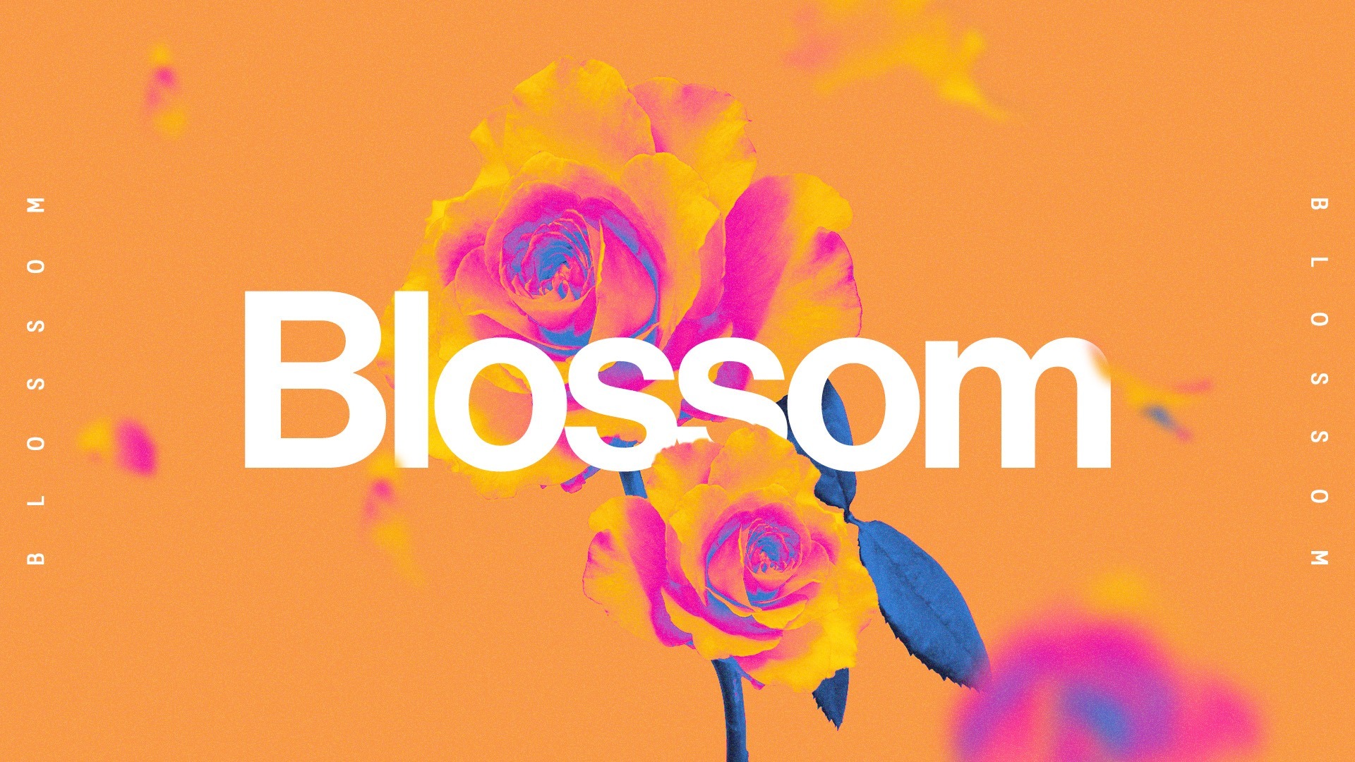 Blossom Sermon Graphics